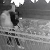 Police Searching For Man Who Tried To Rape Woman In Queens Backyard